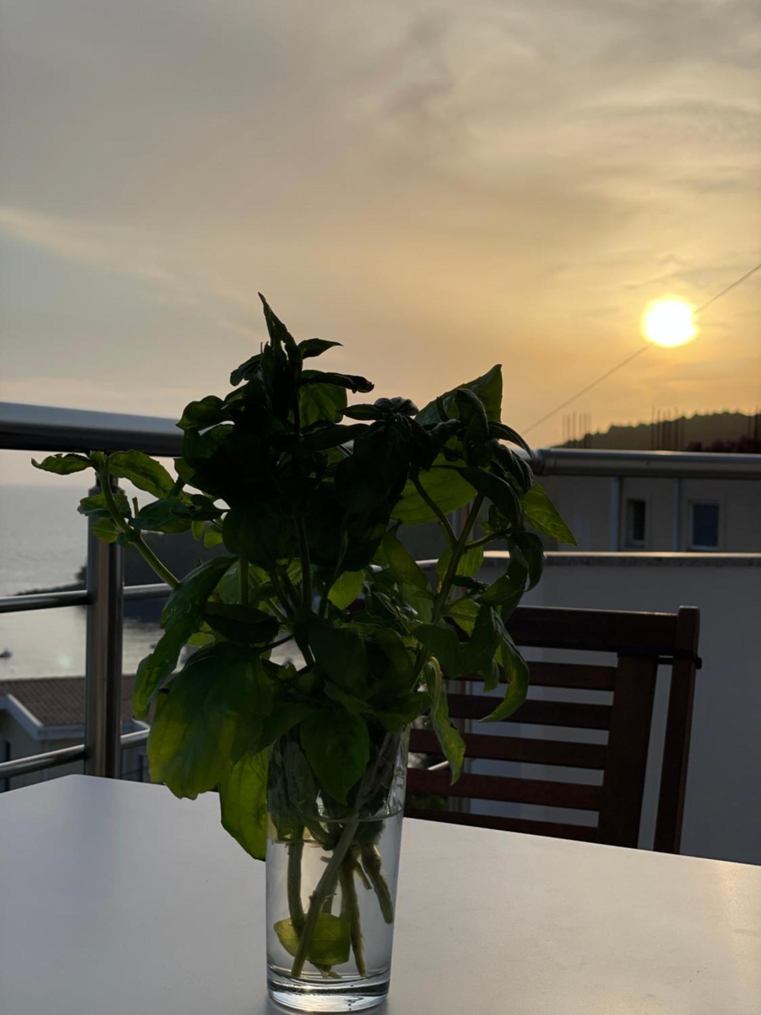 Tasos Rooms Himare Eksteriør bilde