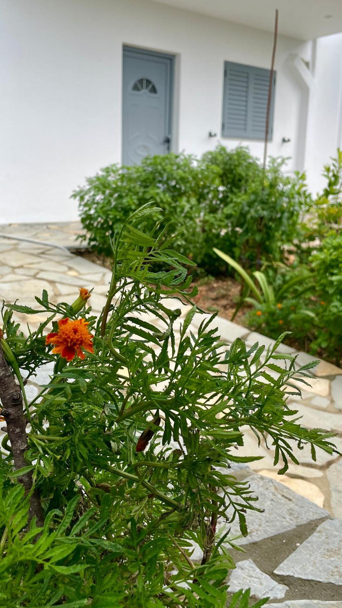 Tasos Rooms Himare Eksteriør bilde